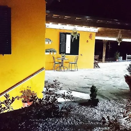 Douro Valley Rustic House * Peso da Régua