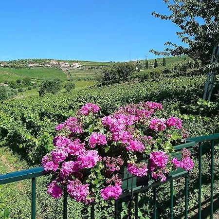 Douro Valley Rustic House Peso da Régua