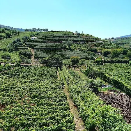 Villa Douro Valley Rustic House *