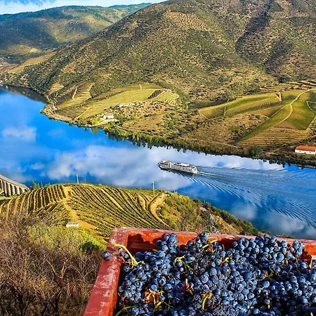 Douro Valley Rustic House * Peso da Régua